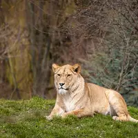 Zoologická a botanická zahrada města Plzně