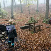 Zřícenina hradu Starý Světlov