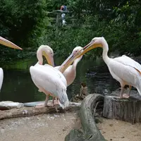 ZOO Jihlava