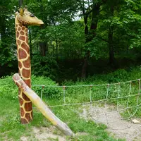 ZOO Jihlava