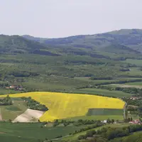 Zřícenina hradu Košťálov