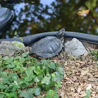 Zoologická zahrada Hodonín