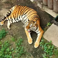 Zoologická zahrada Hodonín