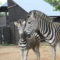 Zoologická zahrada Hodonín