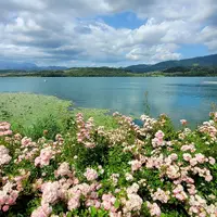 Velenjsko jezero