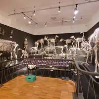 Museo Civico di Storia Naturale Trieste