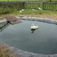 Skanzen Strážnice (Muzeum vesnice jihovýchodní Moravy)