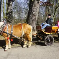 Vlašimský zámecký park