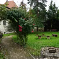 Zámecký park Sokolnice