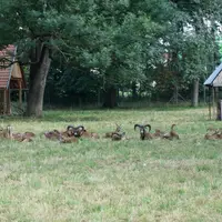 Zámek a park v Židlochovicích