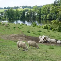 Žďár nad Sázavou