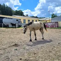 Humpolec