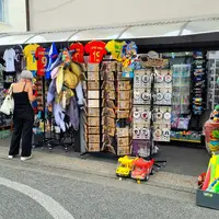 Darlowo a hrad pomořanských knížat