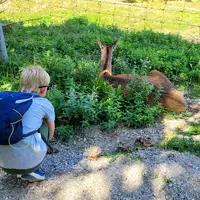Přírodní park a zoo Wildtierpark Kleefeld