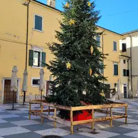 Lazise