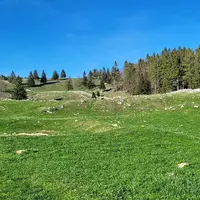 Biba planina