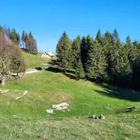 Biba planina