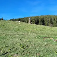 Biba planina