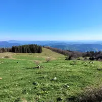 Biba planina