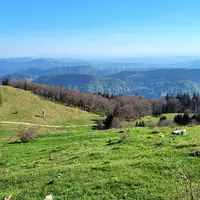 Biba planina