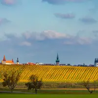 Kraví hora u Znojma - vyhlídka