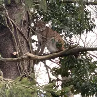 ZOO Innsbruck