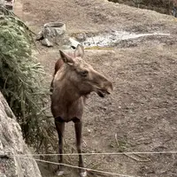 ZOO Innsbruck