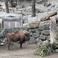 ZOO Innsbruck