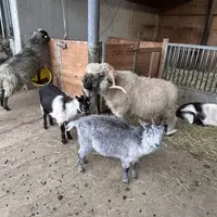 ZOO Innsbruck
