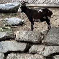 ZOO Innsbruck
