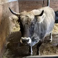 ZOO Innsbruck