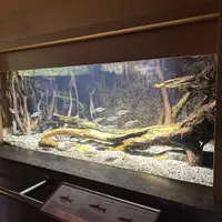 ZOO Innsbruck