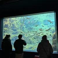 ZOO Innsbruck
