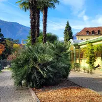 Merano