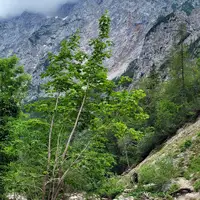 Logarská dolina