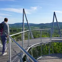 Rozhledna Gedymina