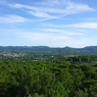 Rozhledna Gedymina