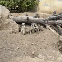 Zoo Ústí nad Labem