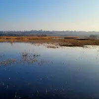 Národní rezervace Škocjanski zatok
