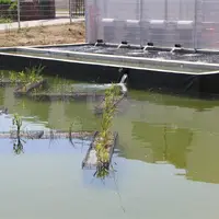 Biotop u zámku Oslavany