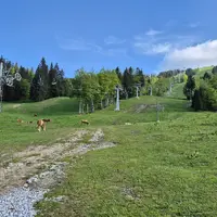 Soriška planina