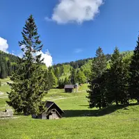 Soriška planina