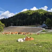 Soriška planina