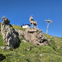 Kitzbüheler Horn