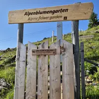Kitzbüheler Horn