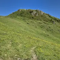 Kitzbüheler Horn