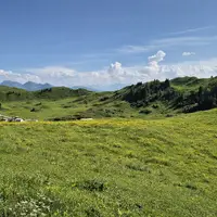 Kitzbüheler Horn