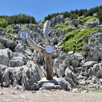 Steinplatte a zážitkový park Triassic Park