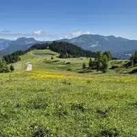 Steinplatte a zážitkový park Triassic Park