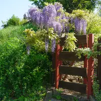 Arboretum Němčičky